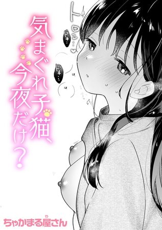気まぐれ子猫、今夜だけ?の表紙画像｜ちゃかまる屋さん