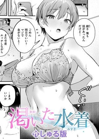 渇いた水着の表紙画像｜しゅる版