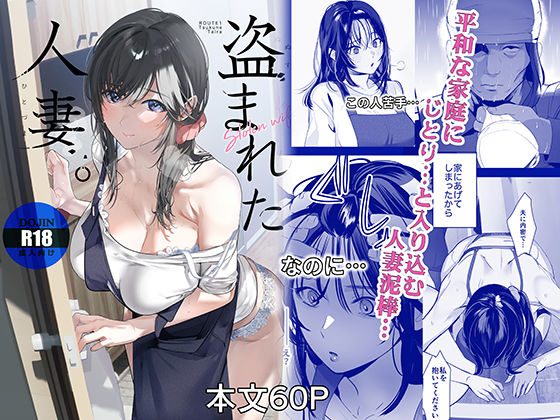盗まれた人妻の表紙画像｜ROUTE1