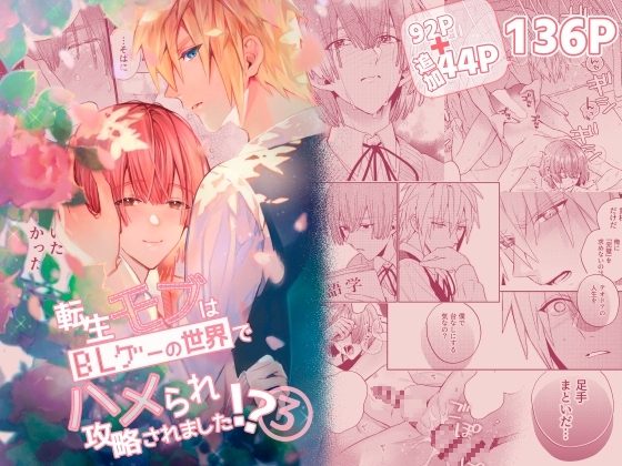 転生モブはBLゲーの世界でハメられ攻略されました!?3の表紙画像｜niwaniwa