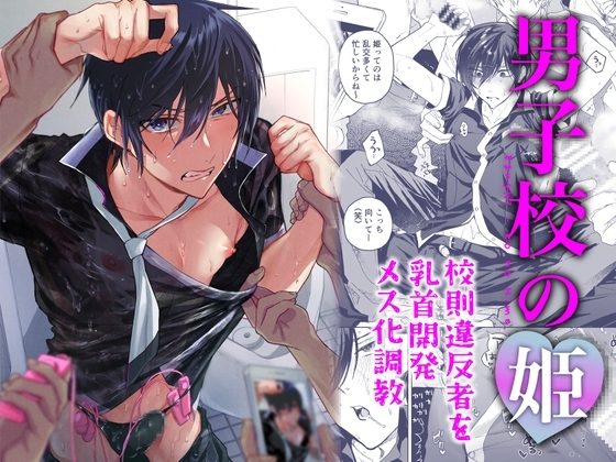男子校の姫 校則違反者を乳首開発メス化調教の表紙画像｜BB