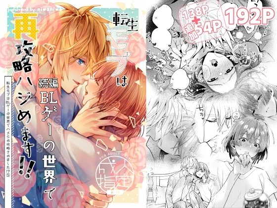 転生モブは続編BLゲーの世界で再攻略ハジめます!!(モブハメ5)の表紙画像｜niwaniwa