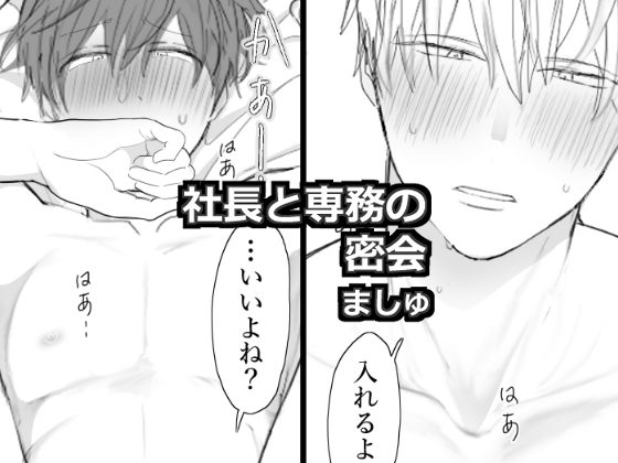 社長と専務の密会の表紙画像｜M・Mシエスタ