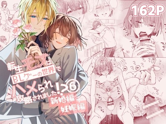 転生モブはBLゲーの世界でハメられ攻略されました!?新婚編+妊娠編の表紙画像｜niwaniwa