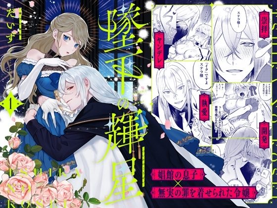 墜下の輝星の表紙画像｜ChuChuメルト商会