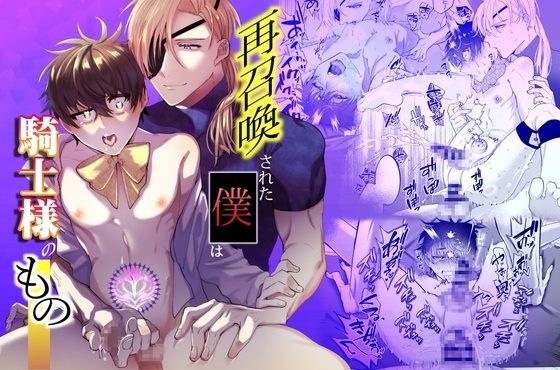 再召喚された僕は騎士様のものの表紙画像｜shy