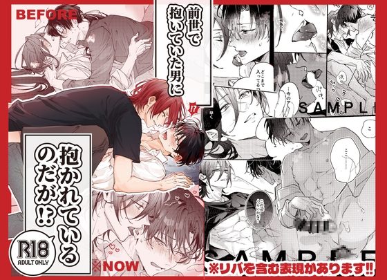 前世で抱いていた男に抱かれているのだが!?の表紙画像｜EGOTION