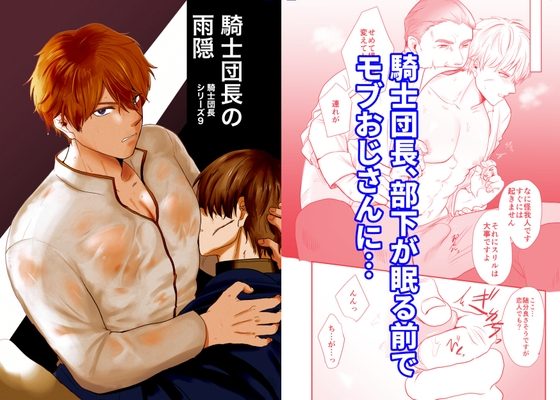 騎士団長の雨隠の表紙画像｜ですよね