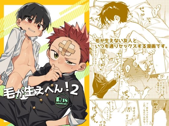 毛が生えへん!2の表紙画像｜毛糸の森
