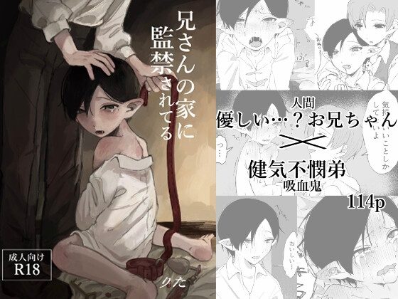 兄さんの家に監禁されてるの表紙画像｜メチルi