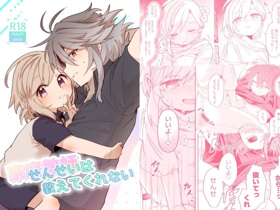 家庭教師〈せんせい〉は教えてくれないの表紙画像｜akanenomi