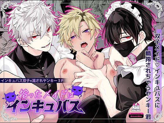 拾ったメイドはインキュバスの表紙画像｜HUND01