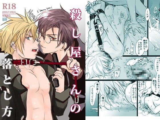 殺し屋さんの落とし方の表紙画像｜sin