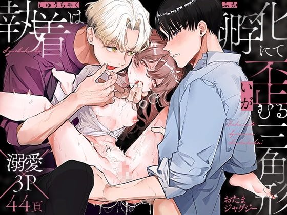 執着は孵化にて歪むる三角形の表紙画像｜おたまジャグジー