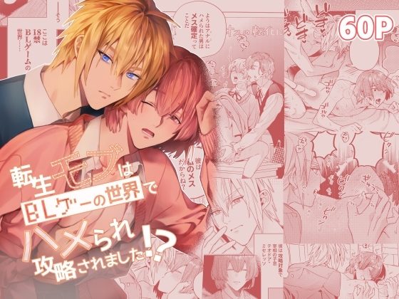 転生モブはBLゲーの世界でハメられ攻略されました!?の表紙画像｜niwaniwa